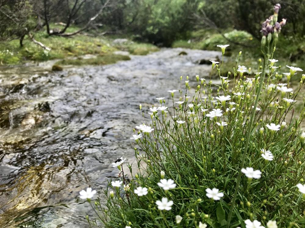 Wo entspringt die Isar? Bei den Isarquellen im Karwendel