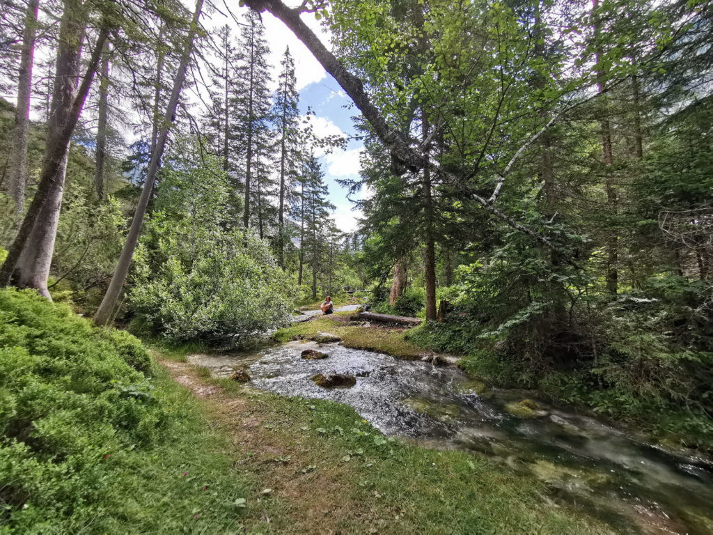 Die schöne Aulandschaft der Isar nahe dem Isarursprung bei Scharnitz