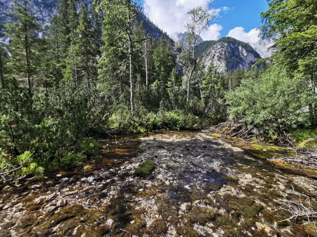 Die schöne Natur am Isarursprung